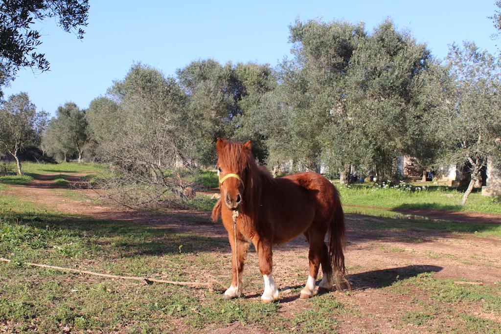 Agriturismo Tenuta Sant'Antonio Cerfignano Kültér fotó